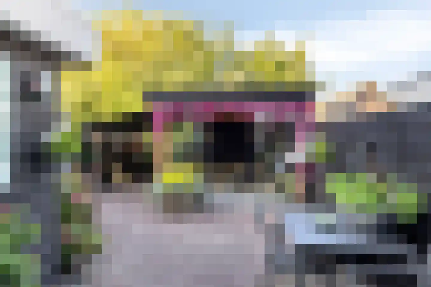 St.Severusstraat 13 Boxtel thumbnail 24