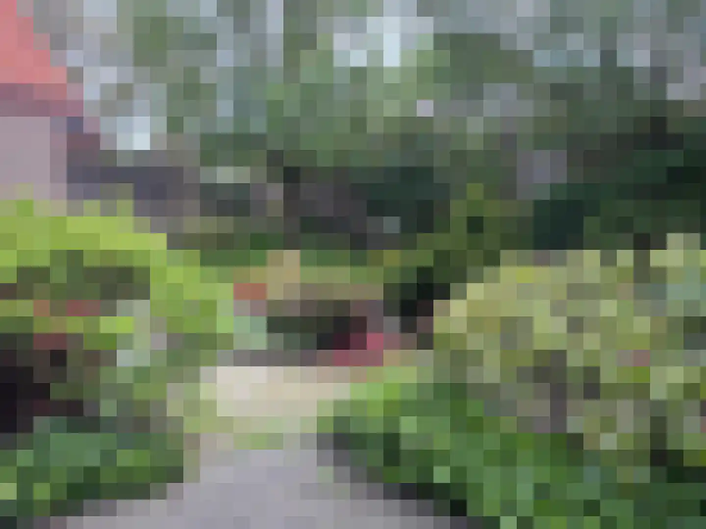 St.-Severusstraat 19 Gemert thumbnail 13