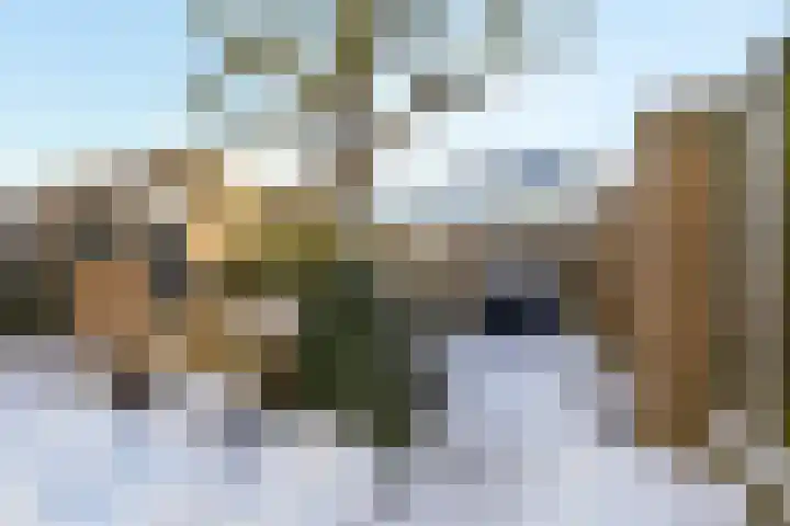 St.Severusstraat 32 Boxtel thumbnail 39