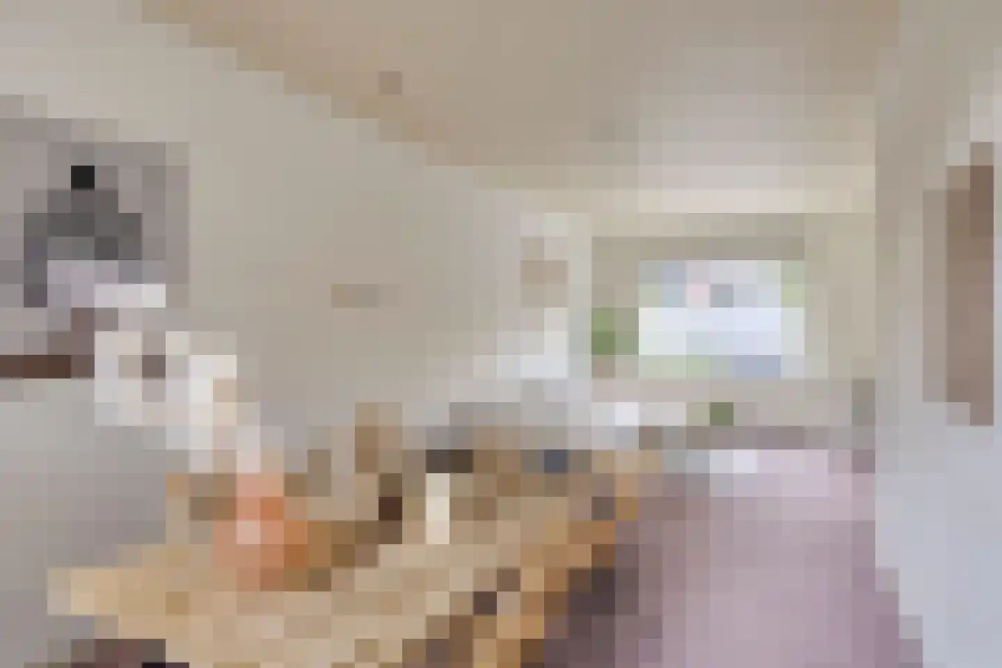 St Theresiaplein 7 Eindhoven thumbnail 12