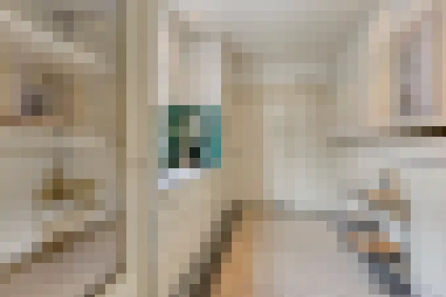 St Theresiaplein 7 Eindhoven thumbnail 15