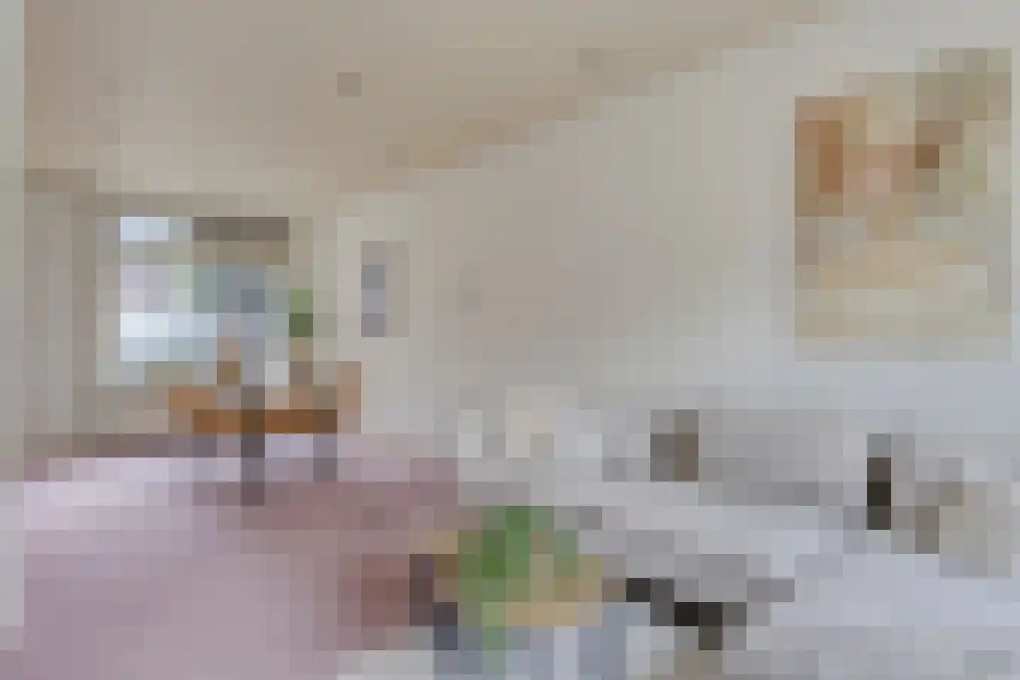 St Theresiaplein 7 Eindhoven thumbnail 9
