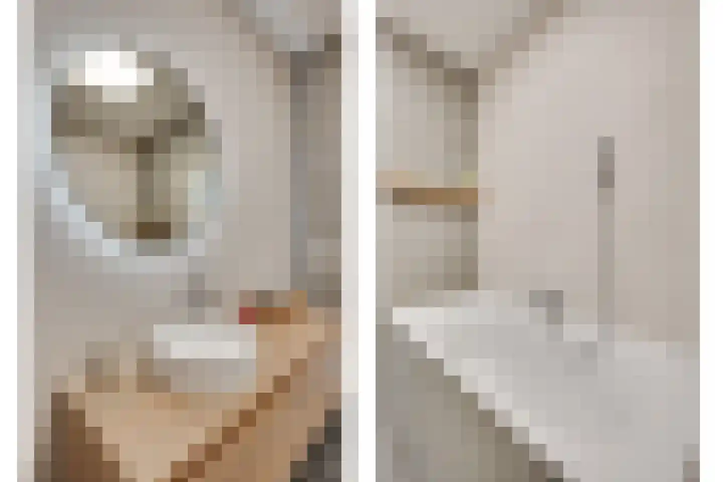 St Theresiastraat 21 Eindhoven thumbnail 20