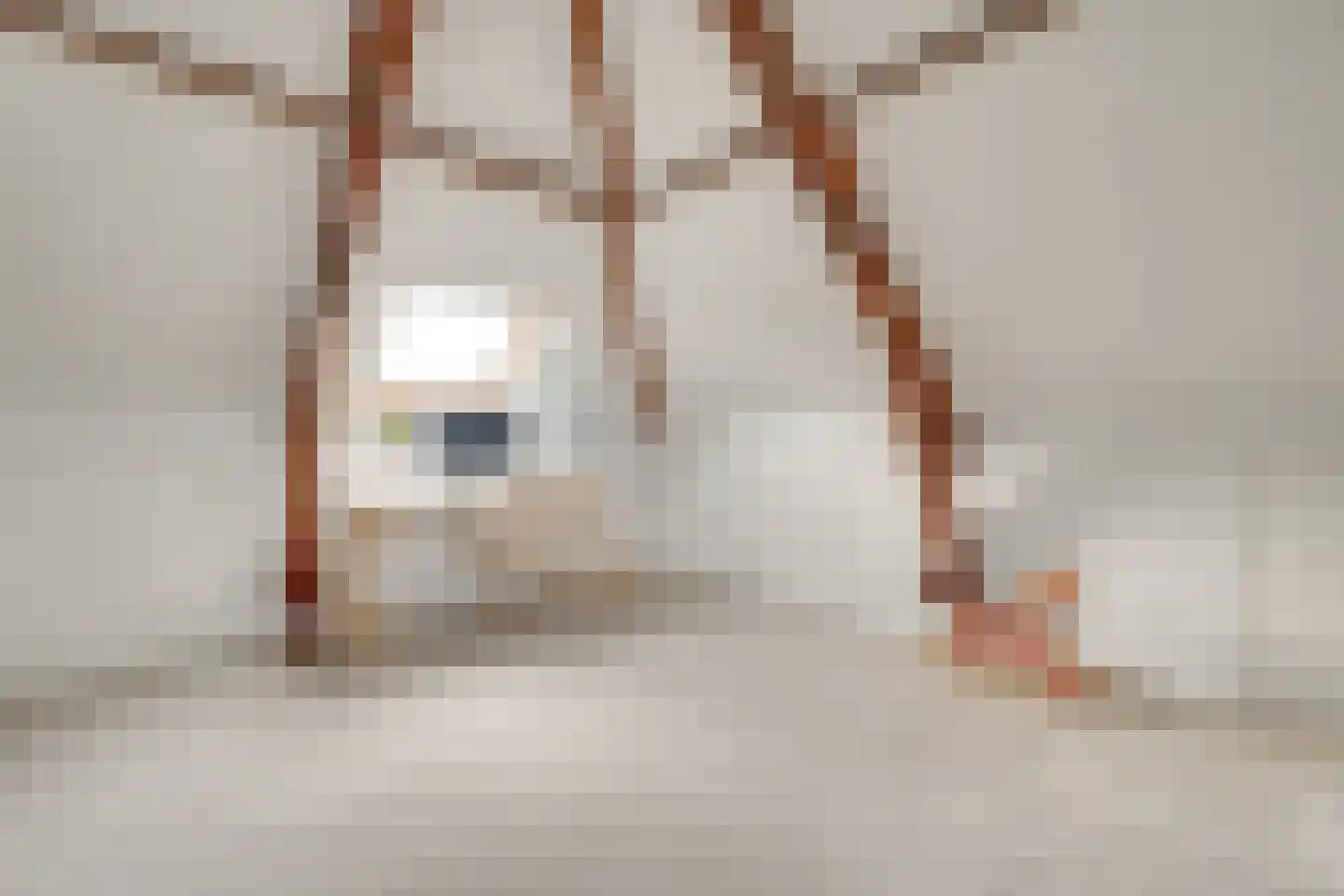 St Theresiastraat 21 Eindhoven thumbnail 36