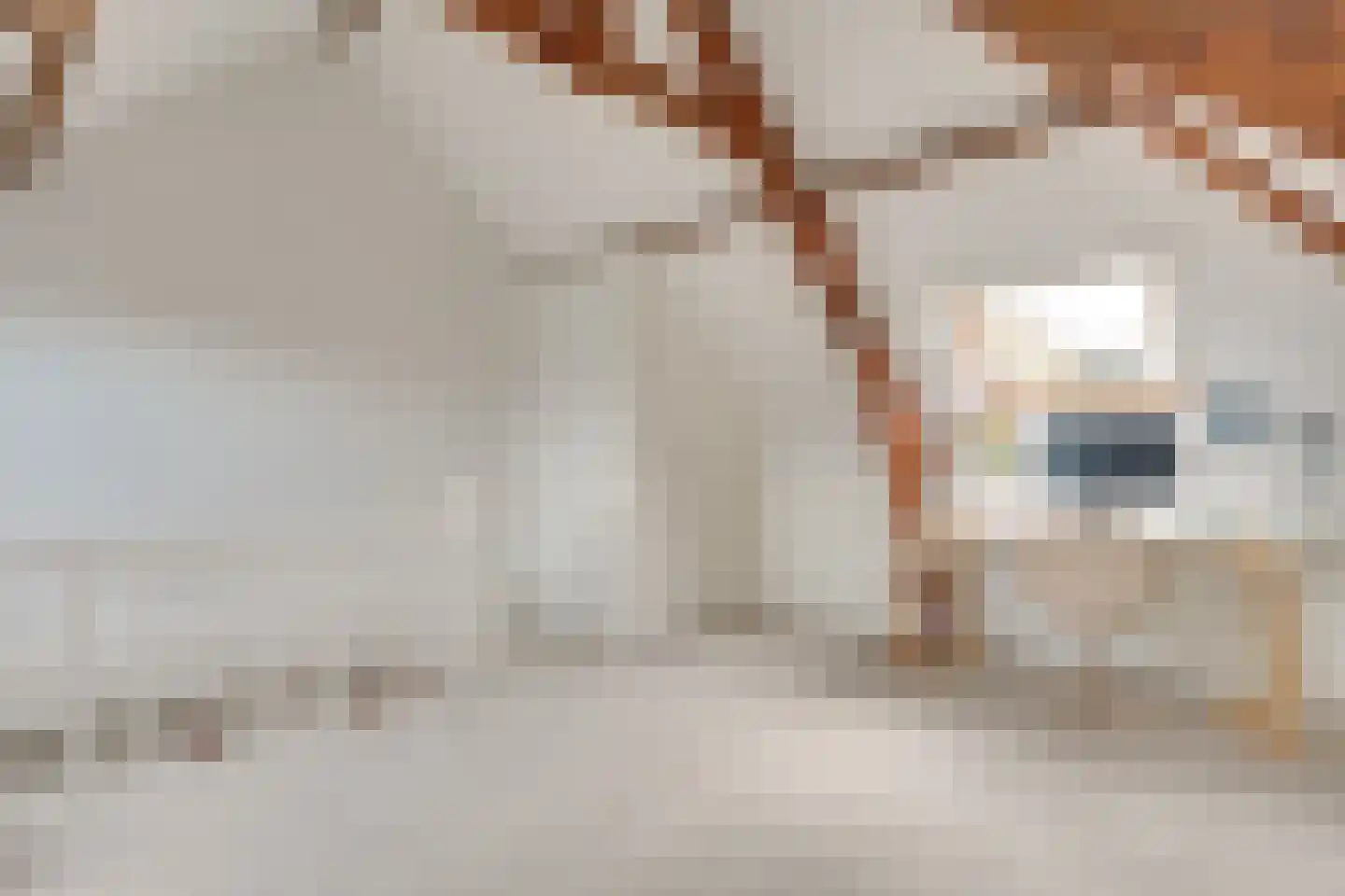 St Theresiastraat 21 Eindhoven thumbnail 38