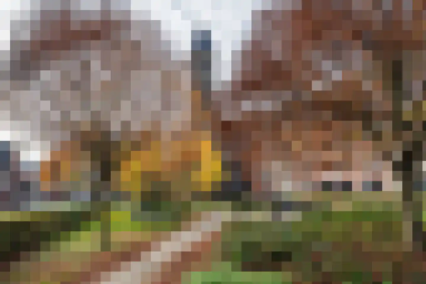 St Theresiastraat 21 Eindhoven thumbnail 47