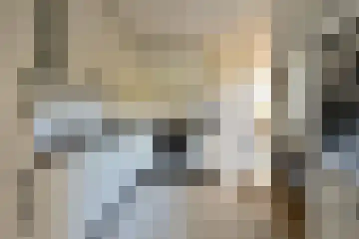 St. Theresiastraat 26 Soest thumbnail 11