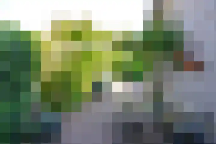 St. Theresiastraat 26 Soest thumbnail 21
