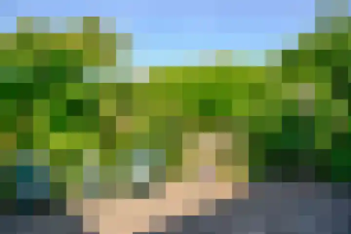 St. Theresiastraat 26 Soest thumbnail 22