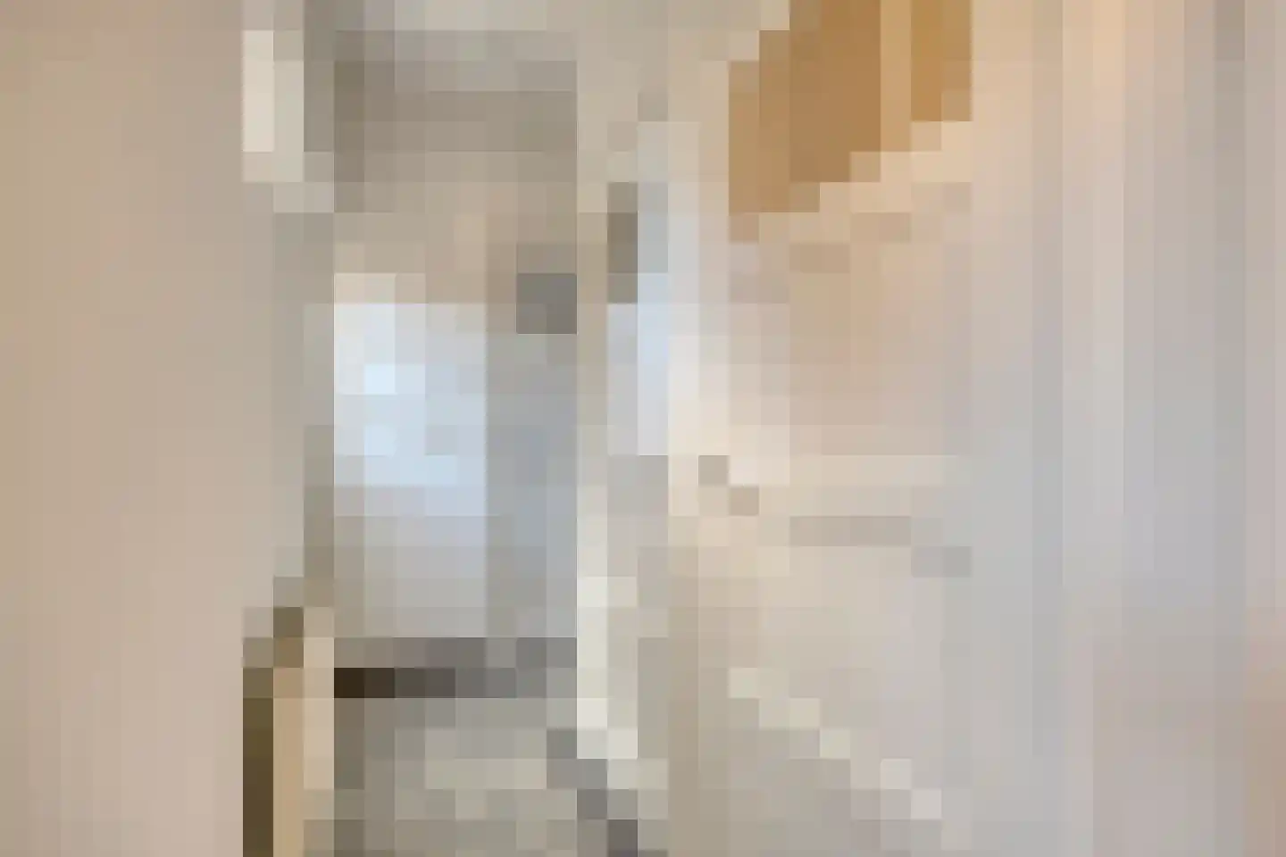 St Theresiastraat 28 Eindhoven thumbnail 24