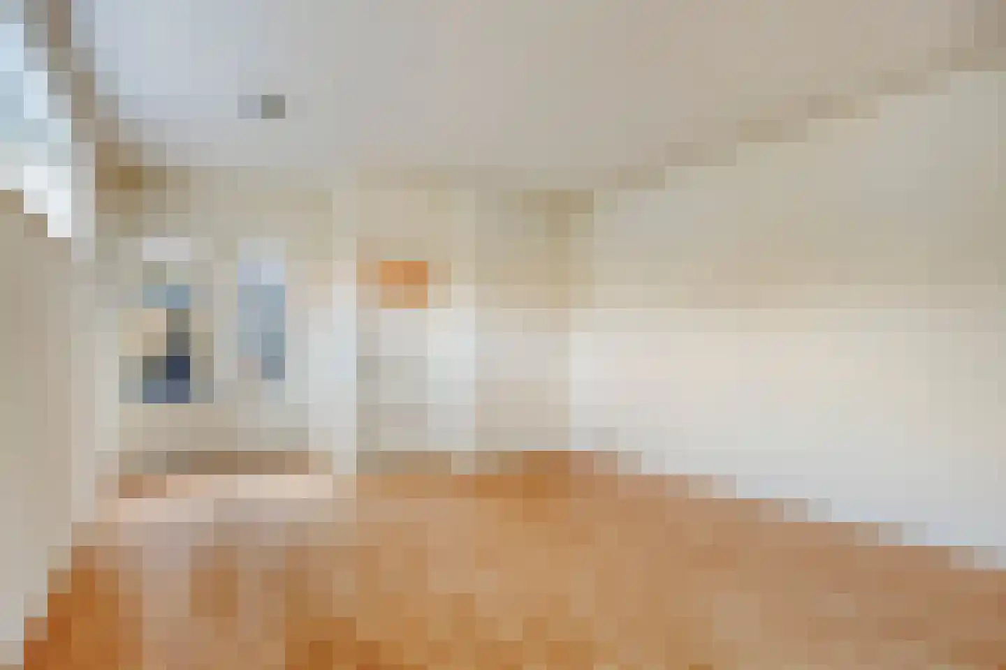 St Theresiastraat 28 Eindhoven thumbnail 28