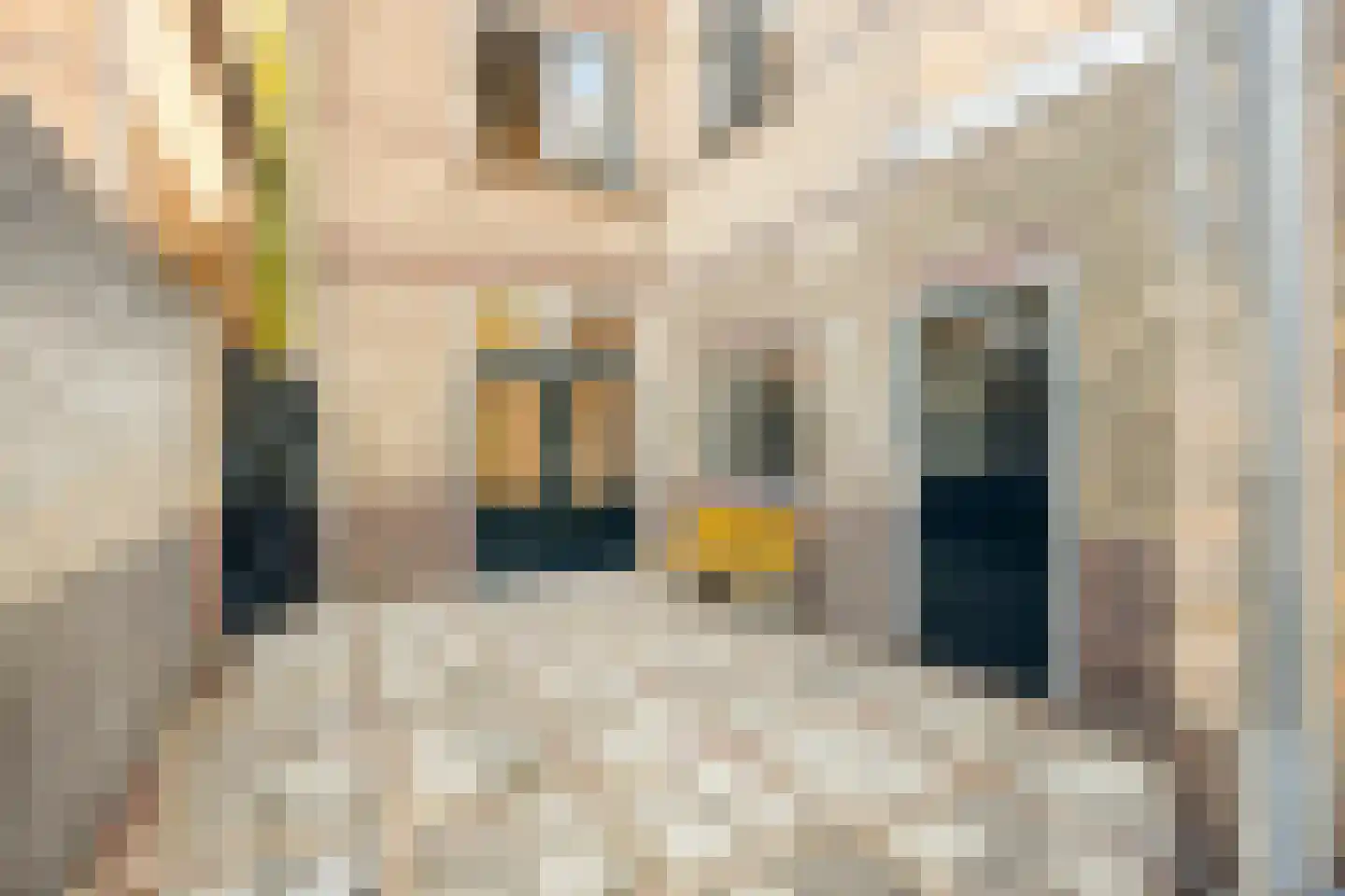 St Theresiastraat 28 Eindhoven thumbnail 31