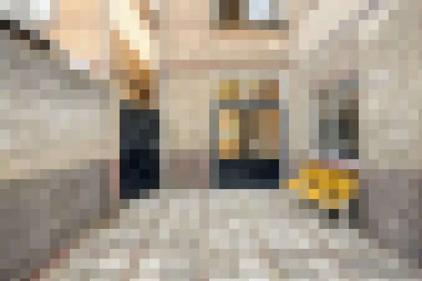 St Theresiastraat 28 Eindhoven thumbnail 32