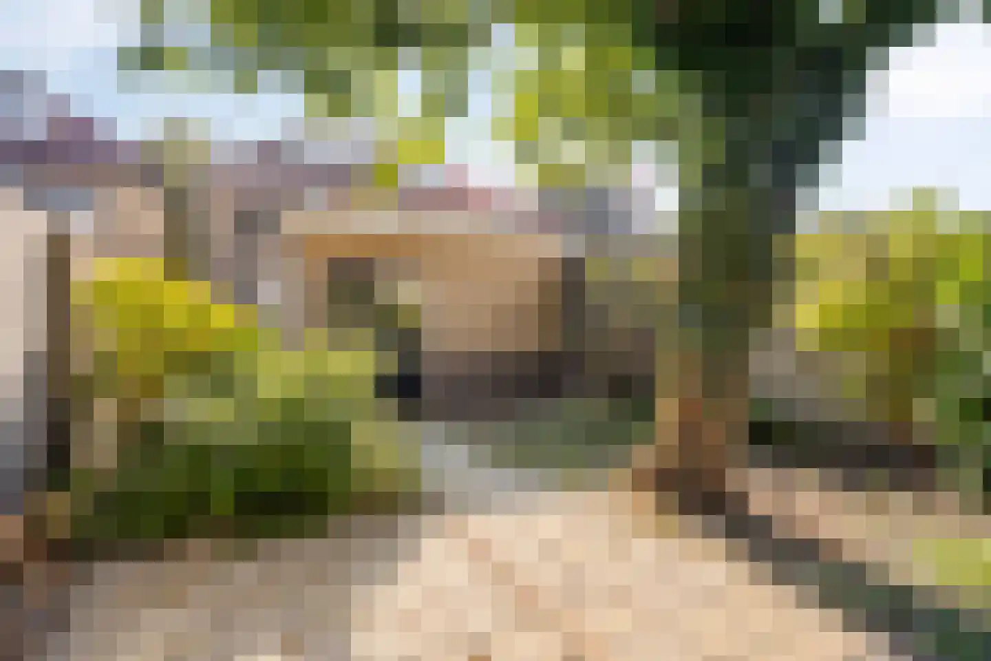 St Theresiastraat 28 Eindhoven thumbnail 36