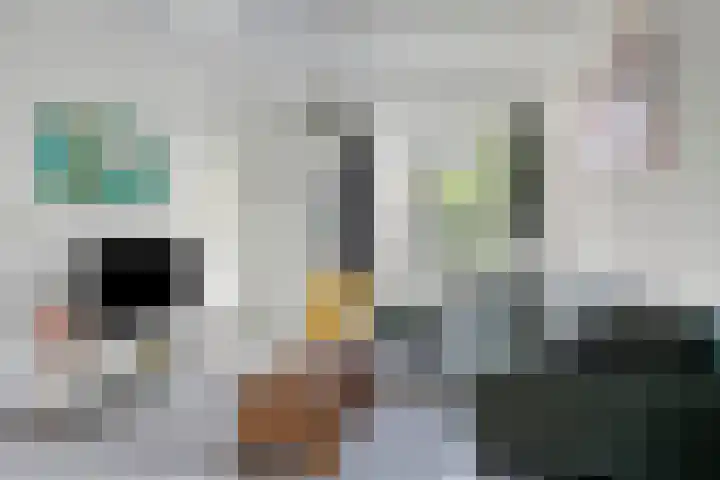 St Theresiastraat 8 Eindhoven thumbnail 10