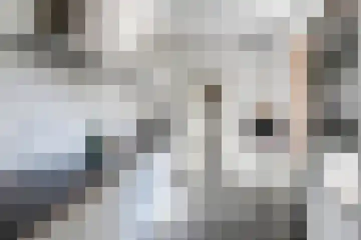 St Theresiastraat 8 Eindhoven thumbnail 14