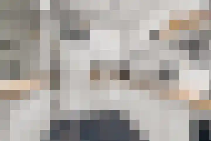 St. Thomashof 5 G Nijmegen thumbnail 13