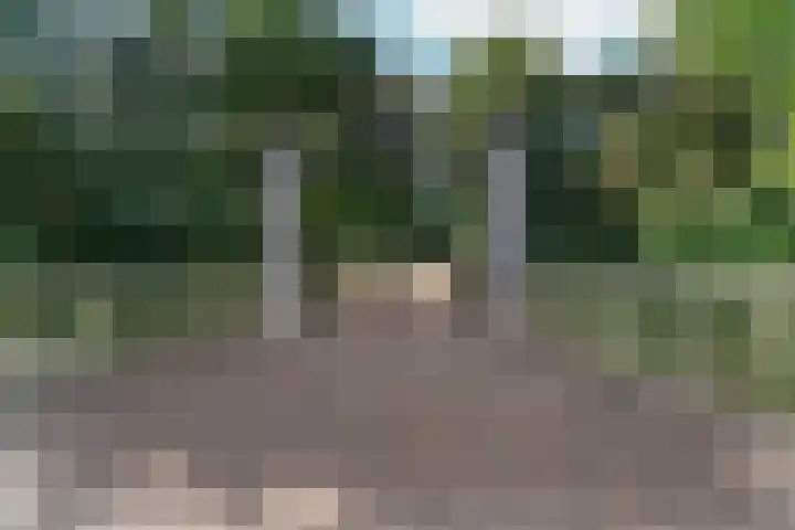 St. Thomashof 5 G Nijmegen thumbnail 33
