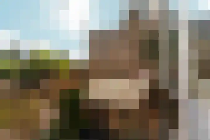 St. Thomashof 5 G Nijmegen thumbnail 4
