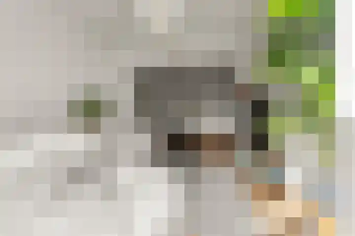 St. Thomashof 5 G Nijmegen thumbnail 8