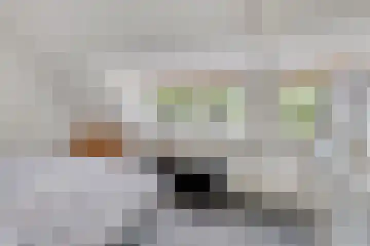 St Trudoplein 12 B Eindhoven thumbnail 15