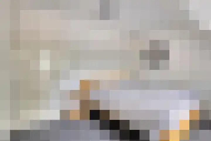 St Trudoplein 12 B Eindhoven thumbnail 16