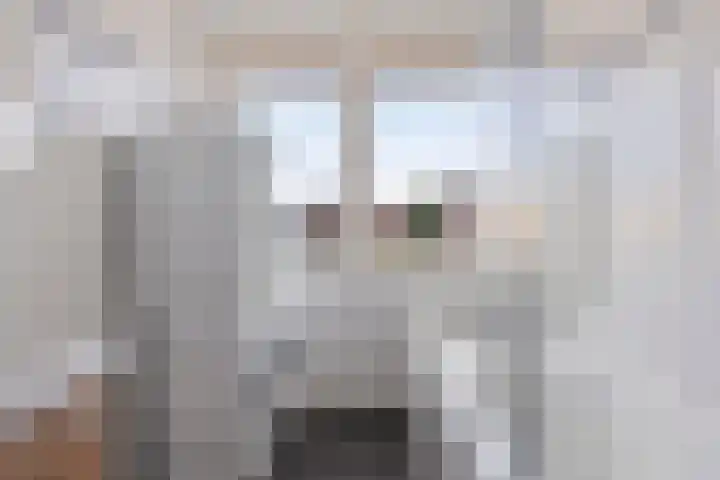 St Trudoplein 12 B Eindhoven thumbnail 17