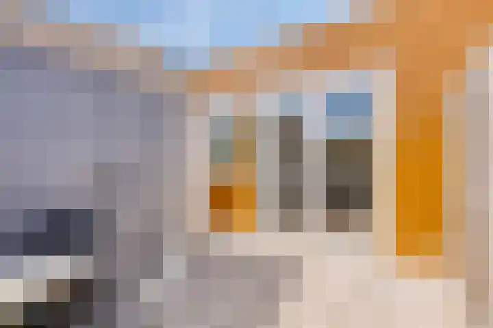 St Trudoplein 12 B Eindhoven thumbnail 21