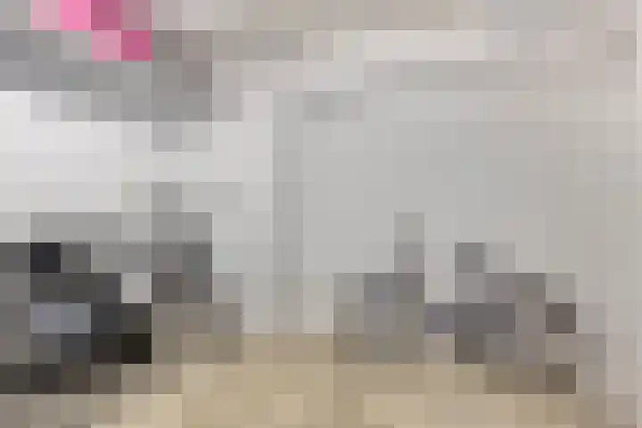 St Trudoplein 12 B Eindhoven thumbnail 22
