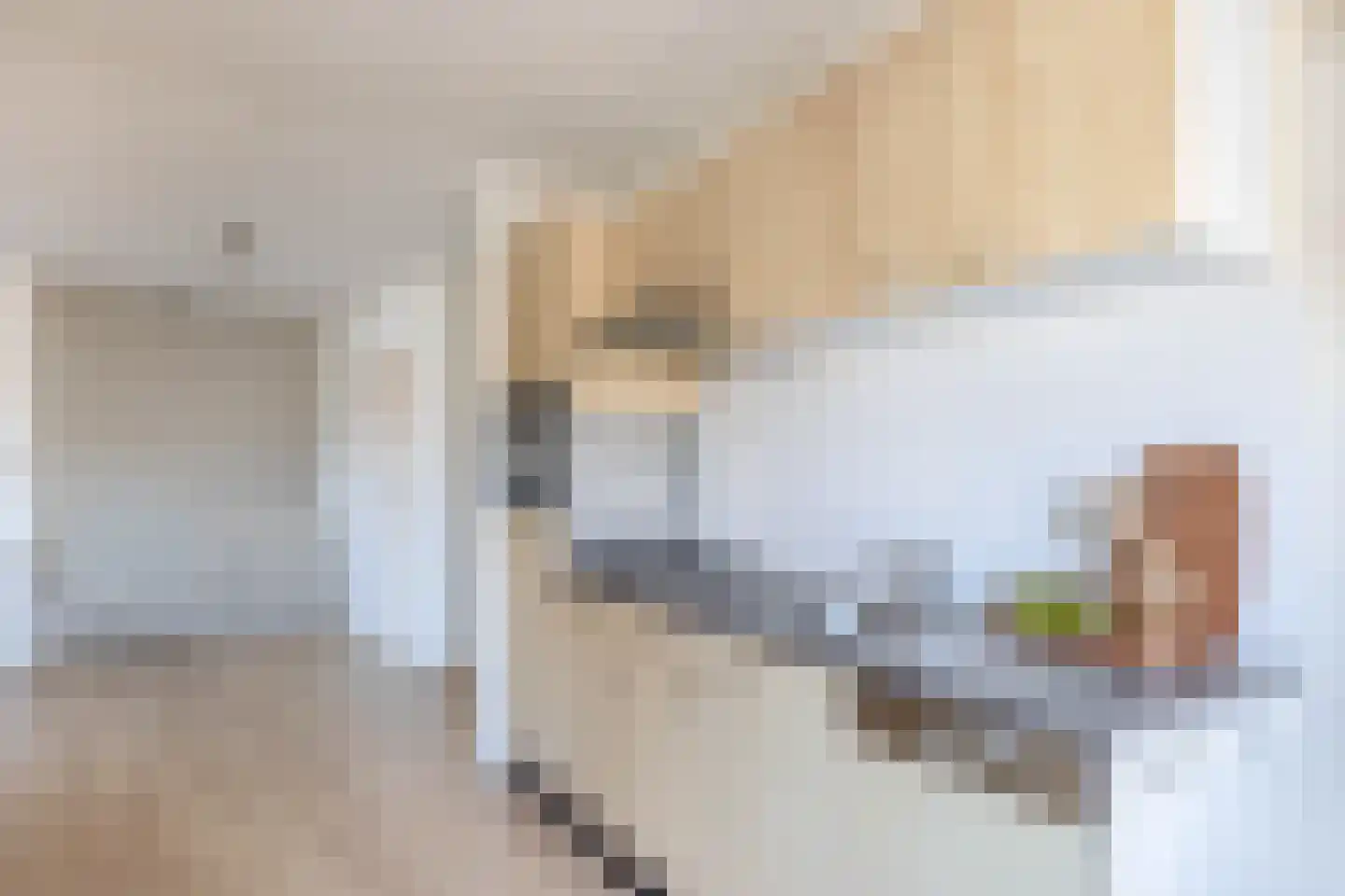 St Trudoplein 9 A Eindhoven thumbnail 24