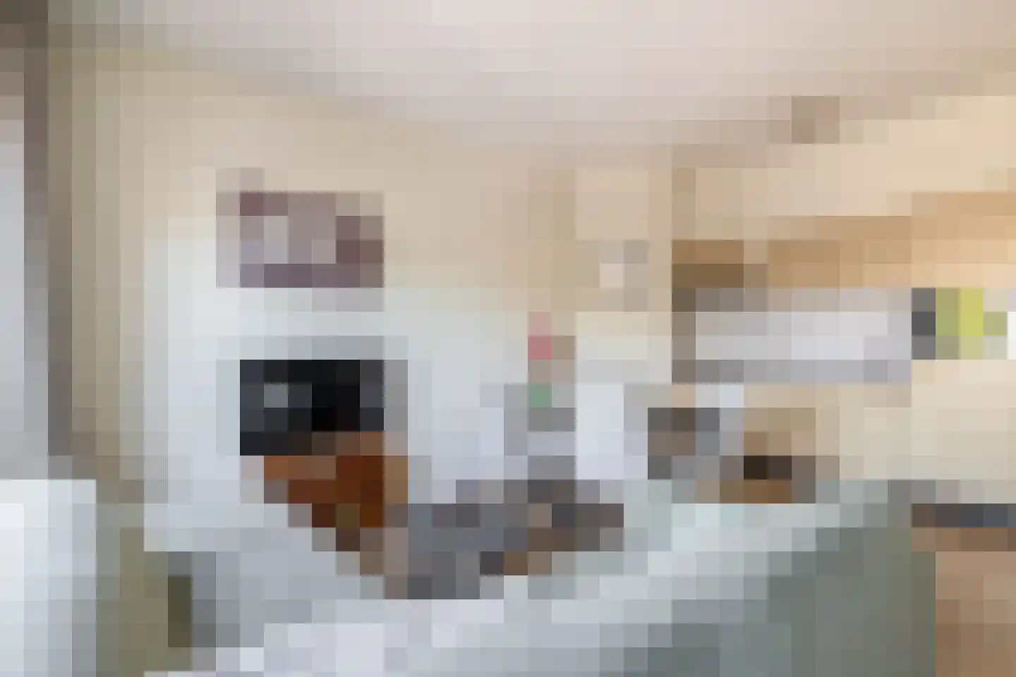 St Trudoplein 9 Eindhoven thumbnail 22