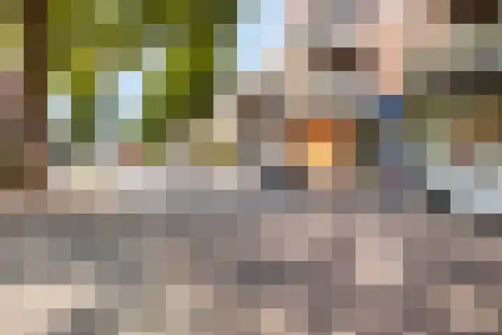 St Trudostraat 2 H Eindhoven thumbnail 23