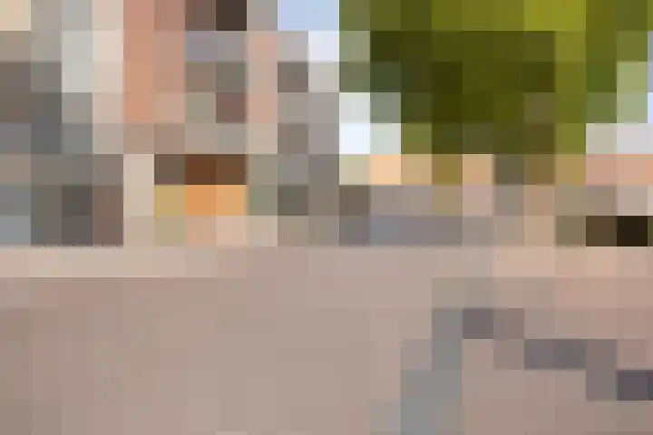St Trudostraat 2 H Eindhoven thumbnail 24