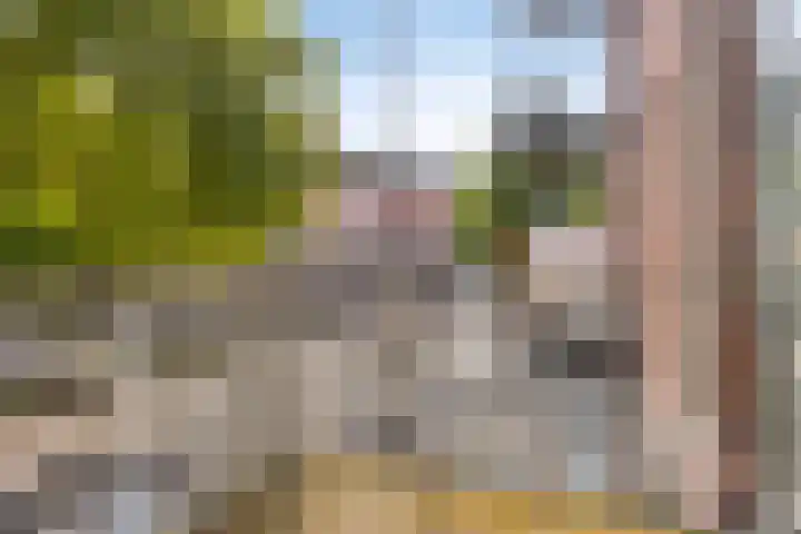 St Trudostraat 2 H Eindhoven thumbnail 6