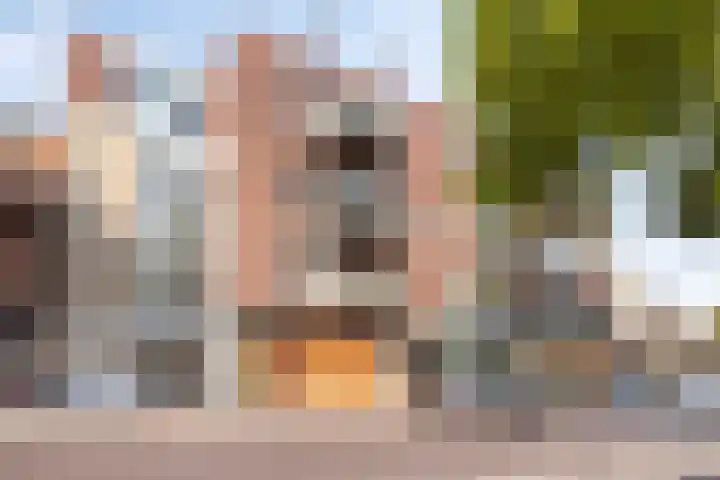 St Trudostraat 2 H Eindhoven thumbnail 7