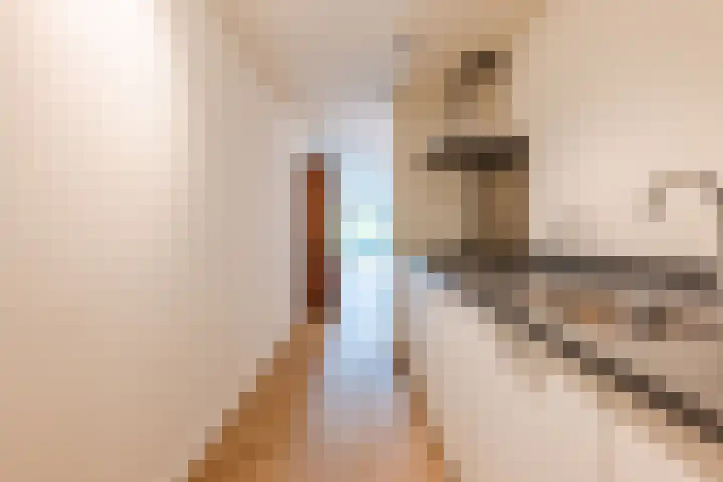 St Trudostraat 2 N Eindhoven thumbnail 11