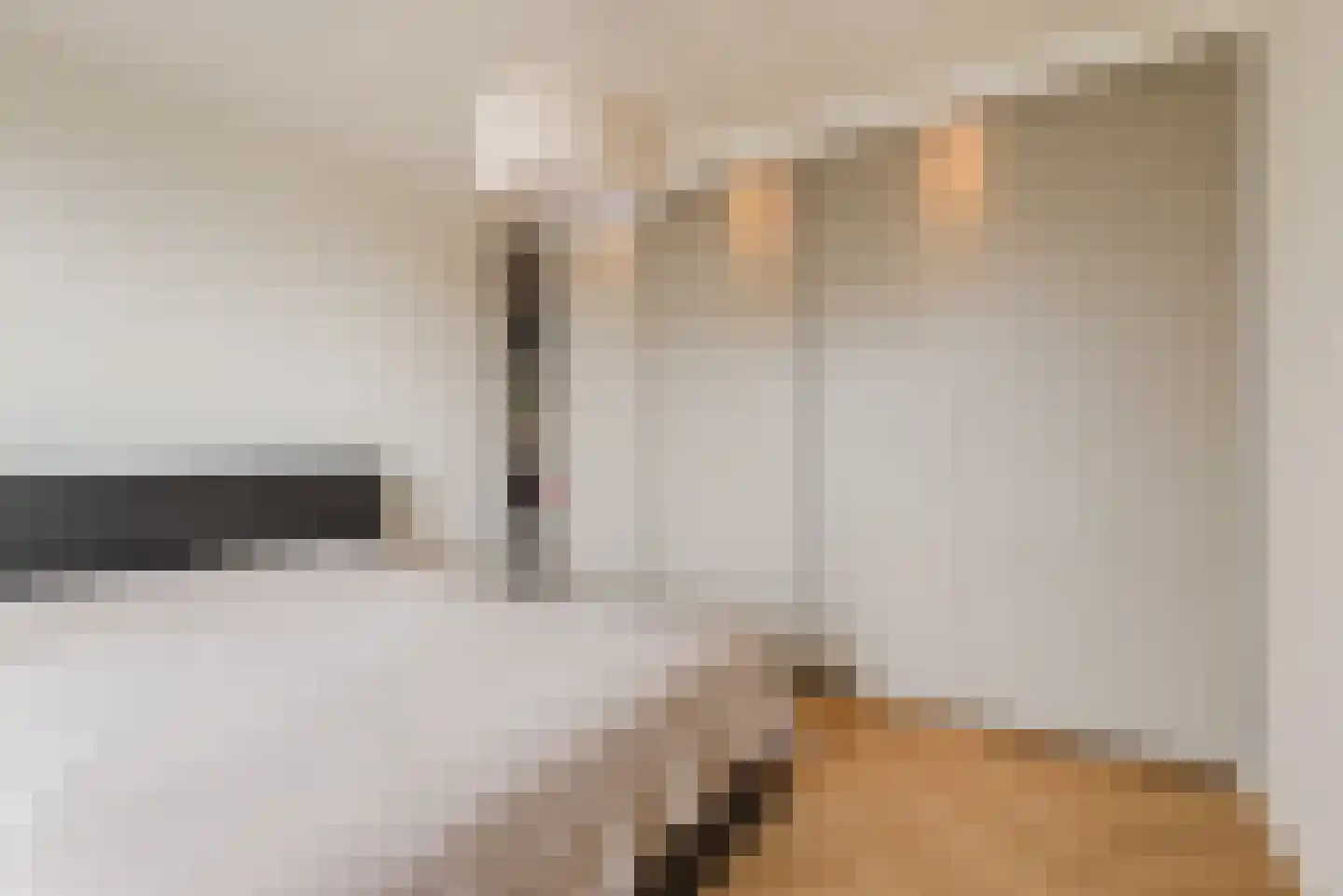 St Trudostraat 2 N Eindhoven thumbnail 14
