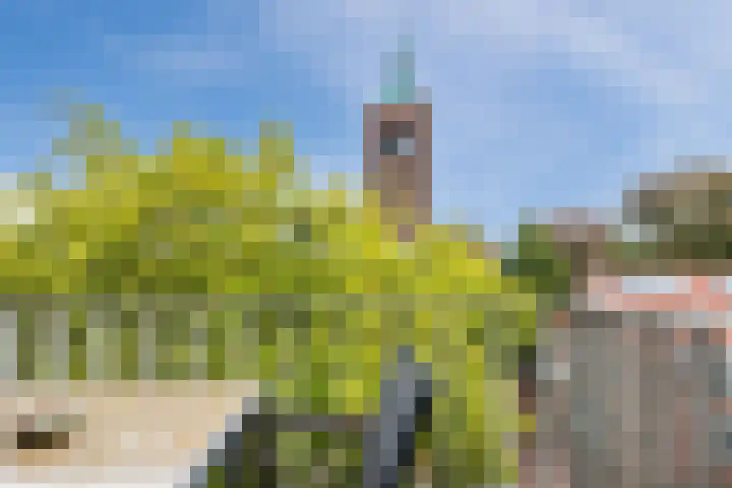 St Trudostraat 2 N Eindhoven thumbnail 8