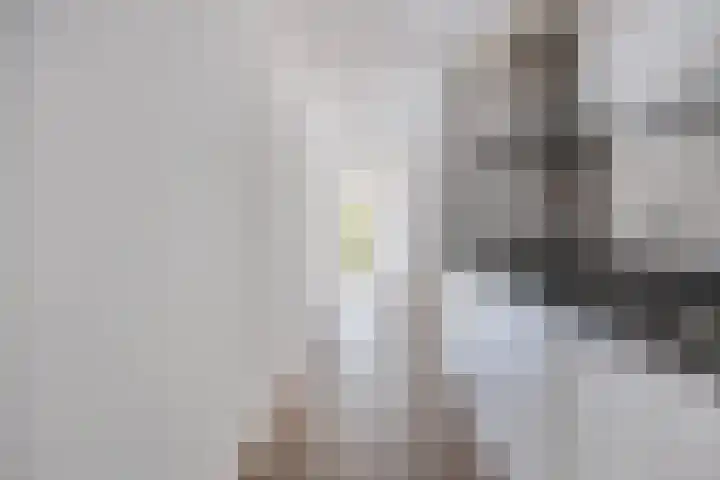 St Trudostraat 2 P Eindhoven thumbnail 17