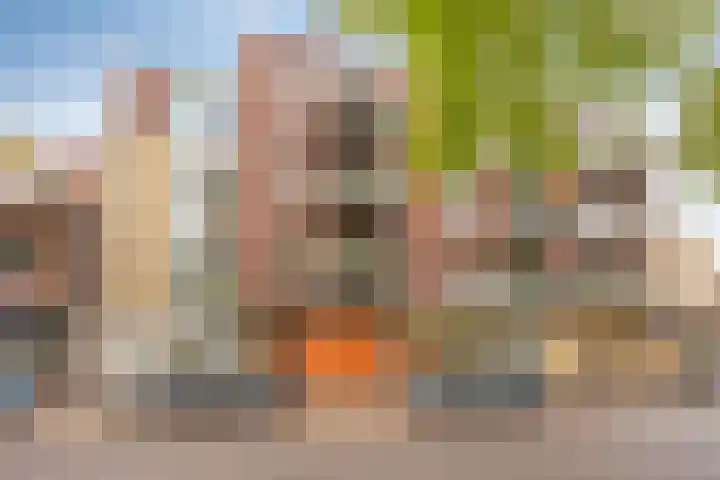 St Trudostraat 2 P Eindhoven thumbnail 23