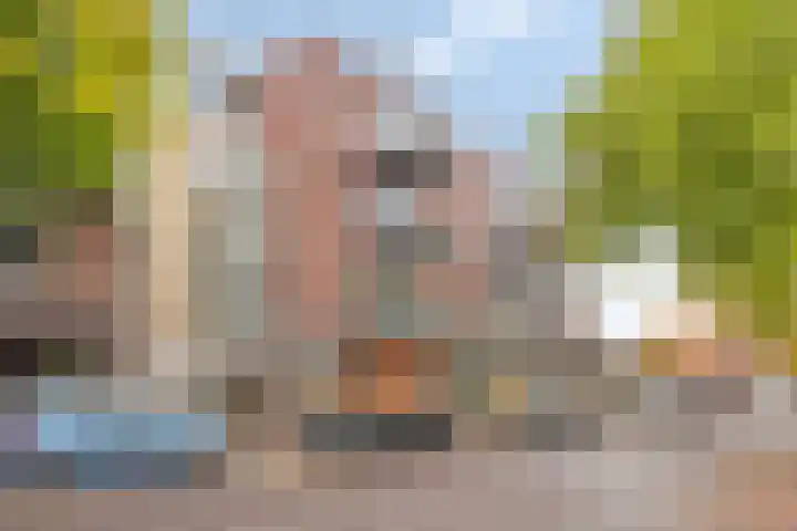 St Trudostraat 2 P Eindhoven thumbnail 26