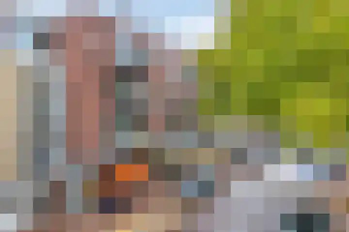 St Trudostraat 2 P Eindhoven thumbnail 27