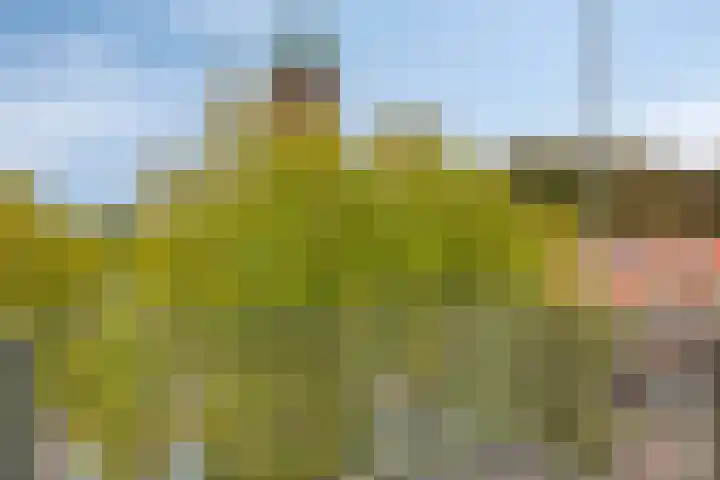 St Trudostraat 2 P Eindhoven thumbnail 6