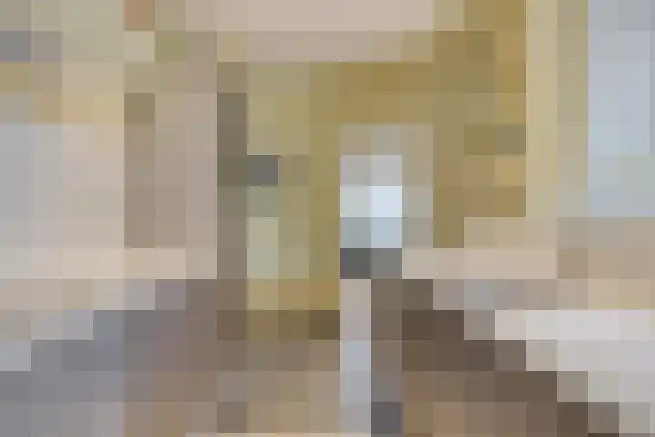 St Trudostraat 4 Eindhoven thumbnail 11