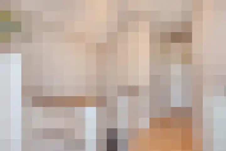 St Trudostraat 4 Eindhoven thumbnail 19