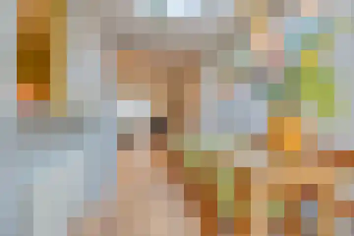 St Trudostraat 4 Eindhoven thumbnail 4