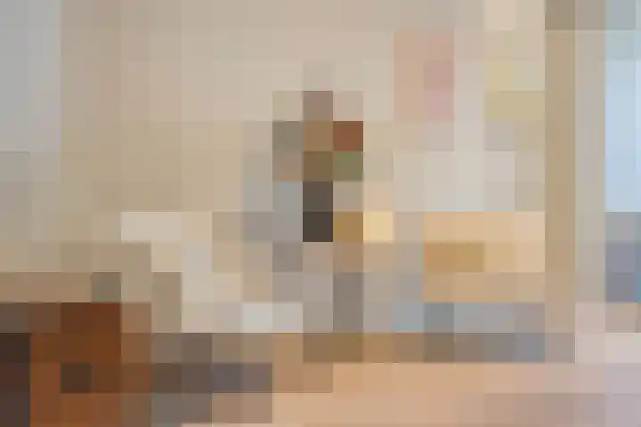 St Trudostraat 4 Eindhoven thumbnail 9