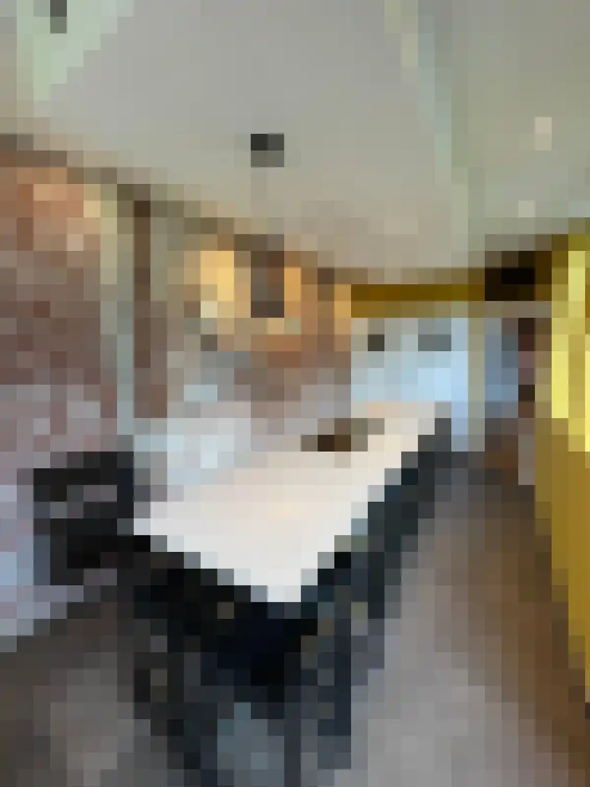 St Trudostraat 6 Eindhoven thumbnail 4