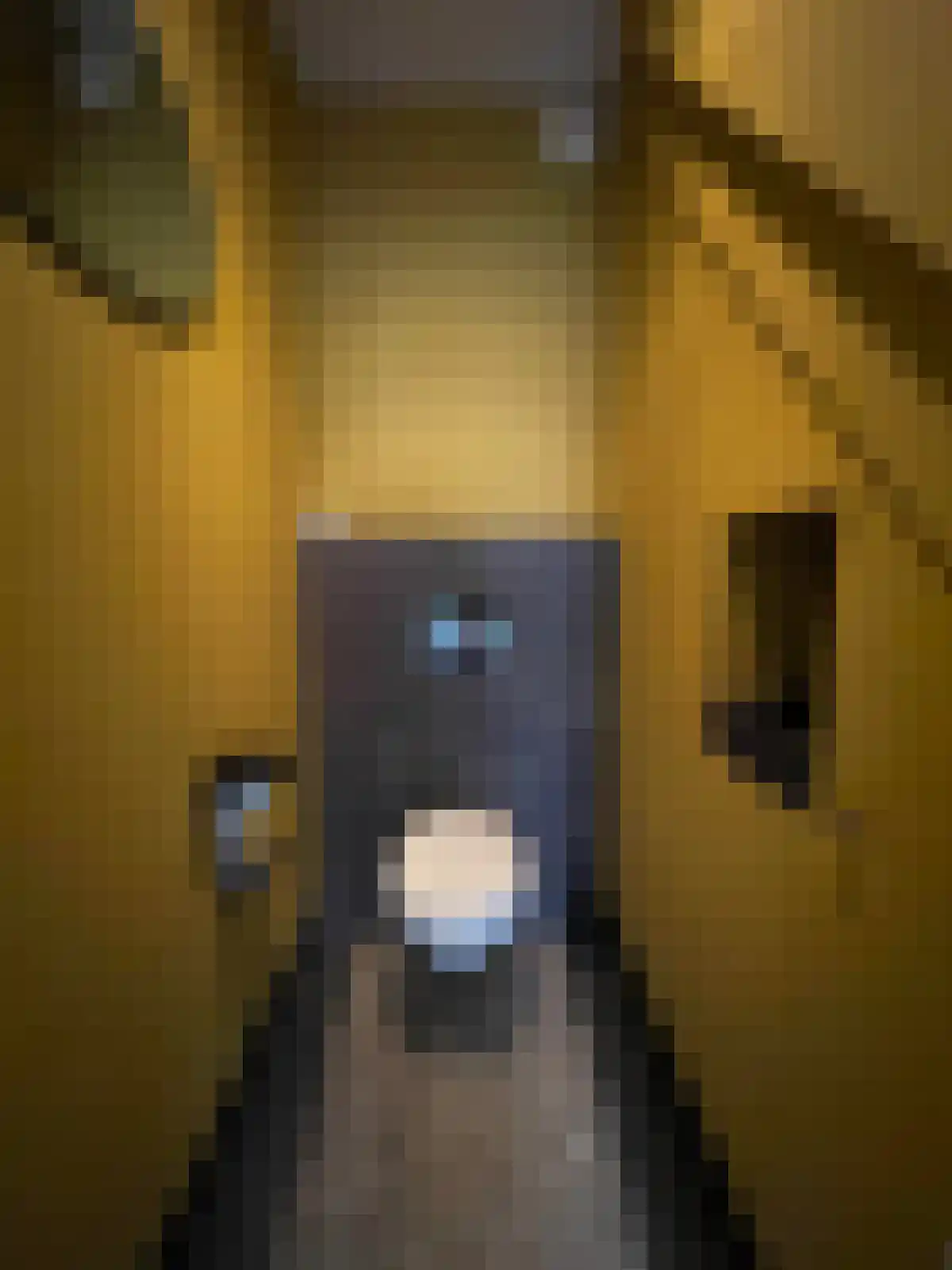 St Trudostraat 6 Eindhoven thumbnail 5