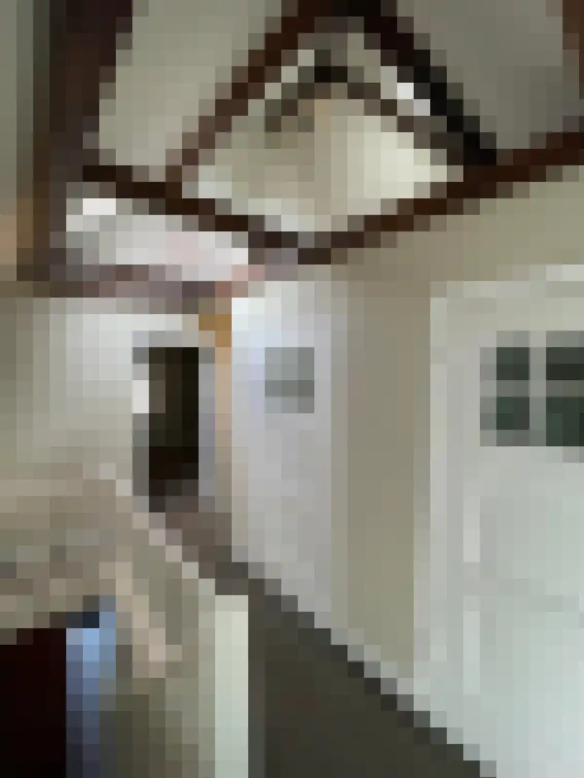 St Trudostraat 6 Eindhoven thumbnail 6